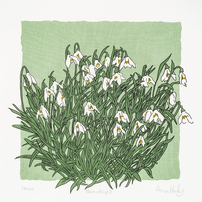 snowdrops